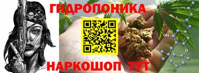 дурь Будённовск