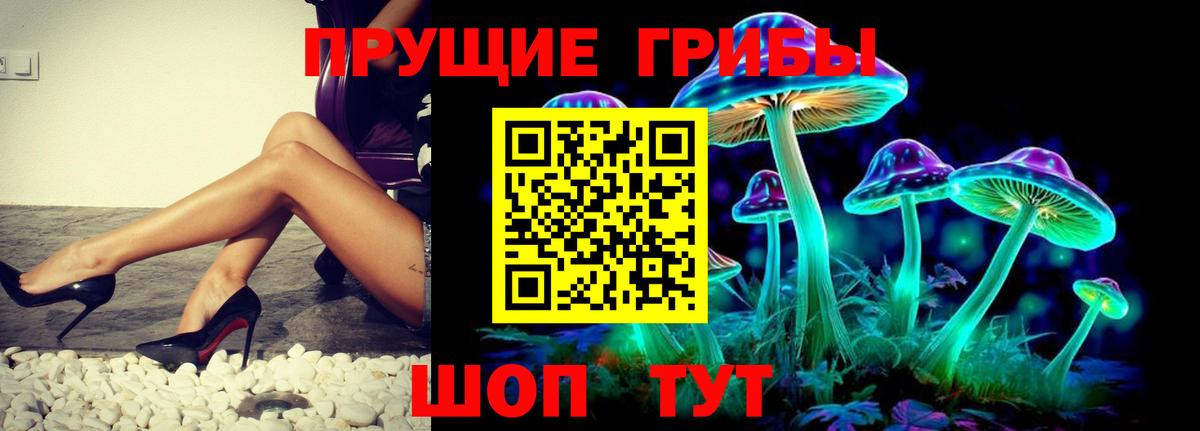 Южноуральск  Псилоцибиновые грибы Cubensis  Вход с VPN 